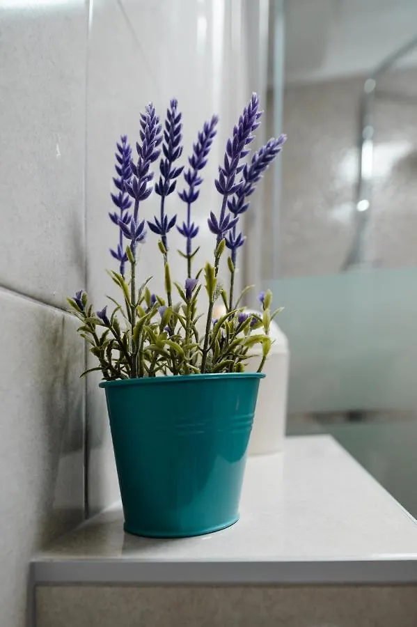 Kailani Luxury Central 3 Bedroom, 3 Bathroom Apartment With A Sunny Balcony Zadar